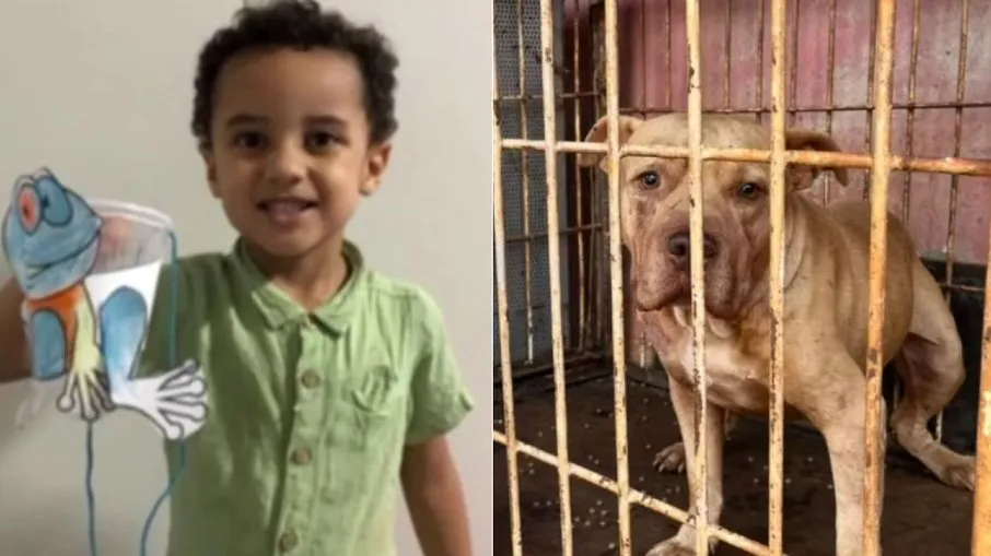 O cão havia sido adotado há cerca de um mês pela família