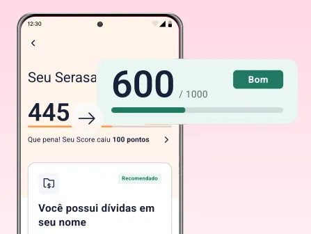 Score do Serasa