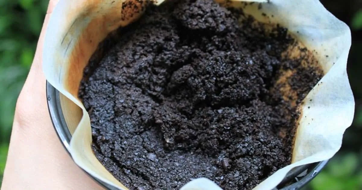 pó de café