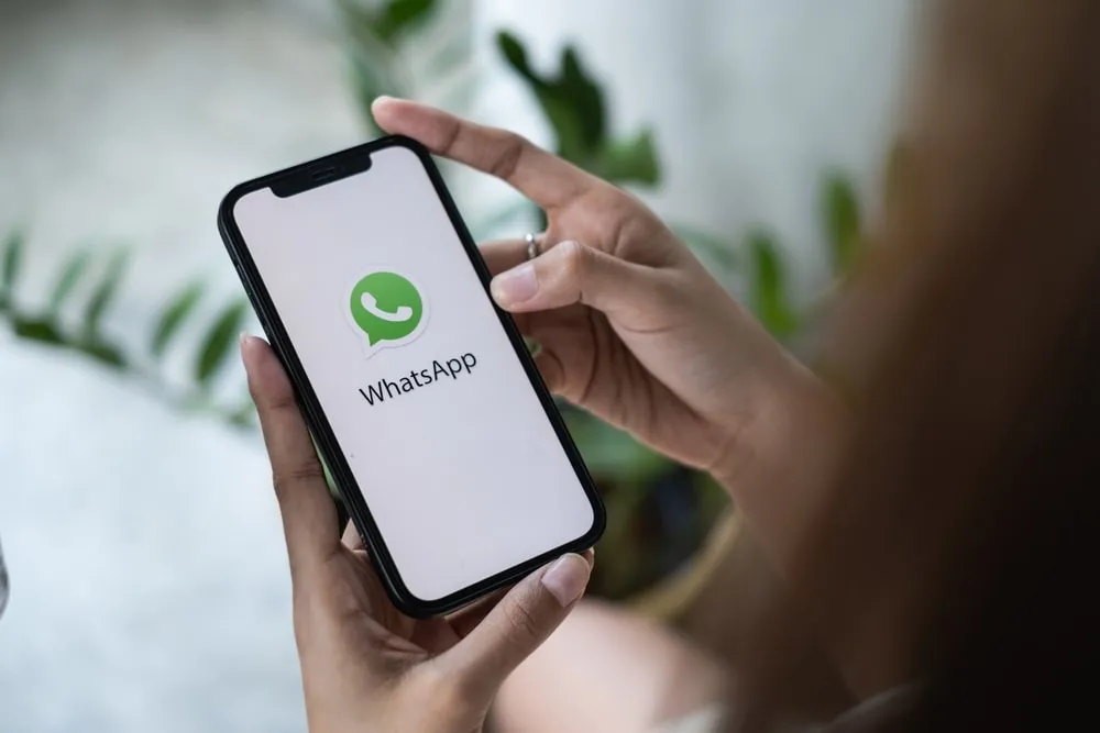 Imagem ilustrativa da imagem WhatsApp anuncia mudanças: figurinhas animadas,  novos filtros e mais