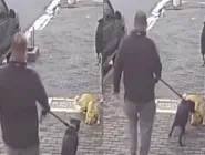 Polícia Civil segue investigando o caso para esclarecer todos os detalhes