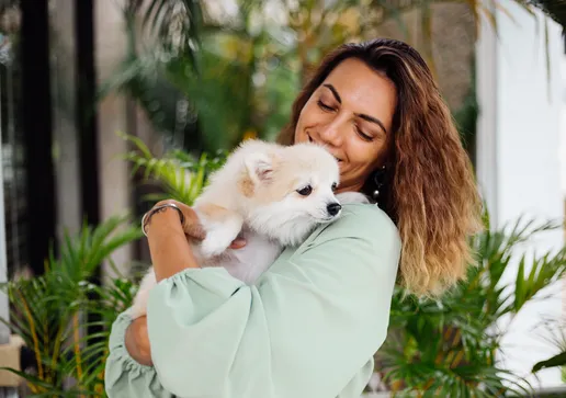 Essas são as 5 raças de pets mais carinhosas que você pode ter