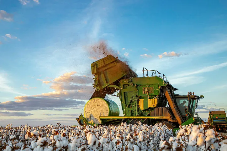 Imagem ilustrativa da imagem PIB do agronegócio cresce 6,5% no 1º trimestre do ano