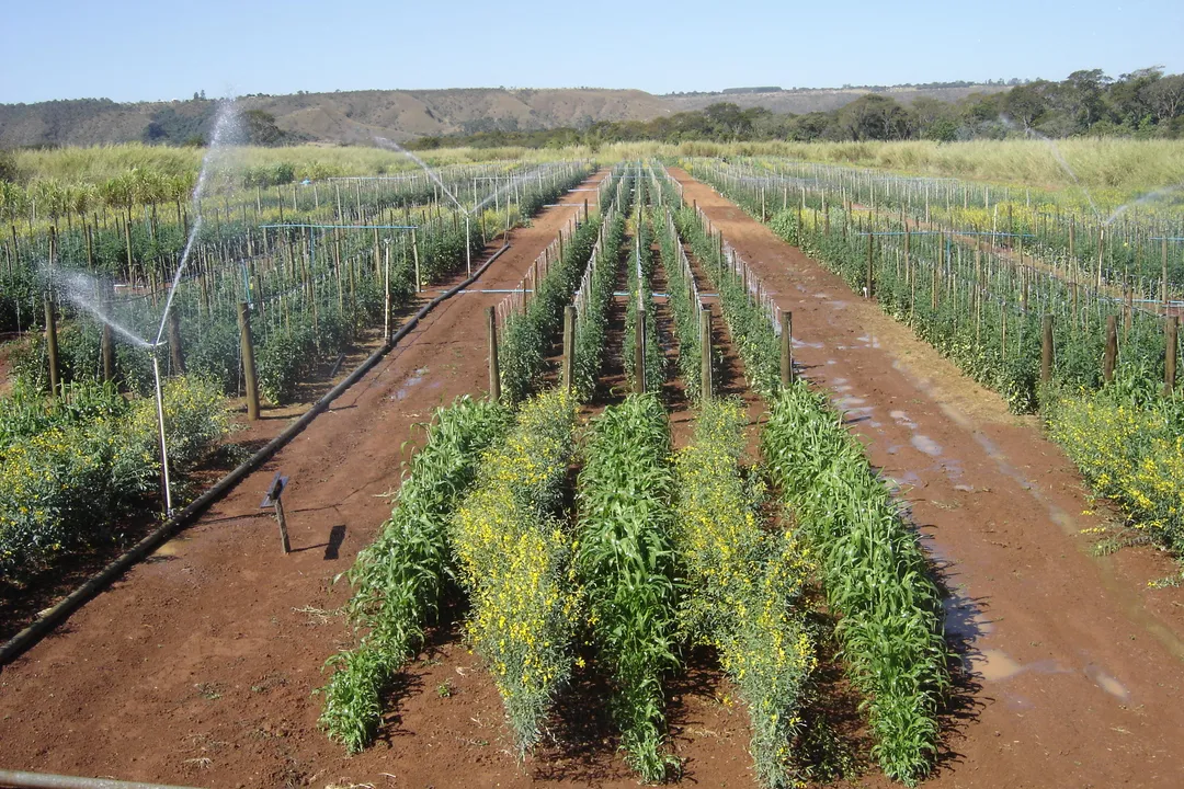 Imagem do Dia de Campo no Seminário de Fruticultura Irrigada do ano passado