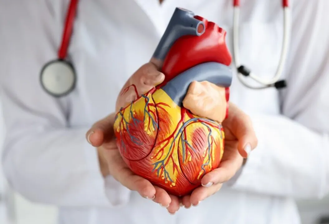 Agosto é dedicado à prevenção de doenças cardiovasculares