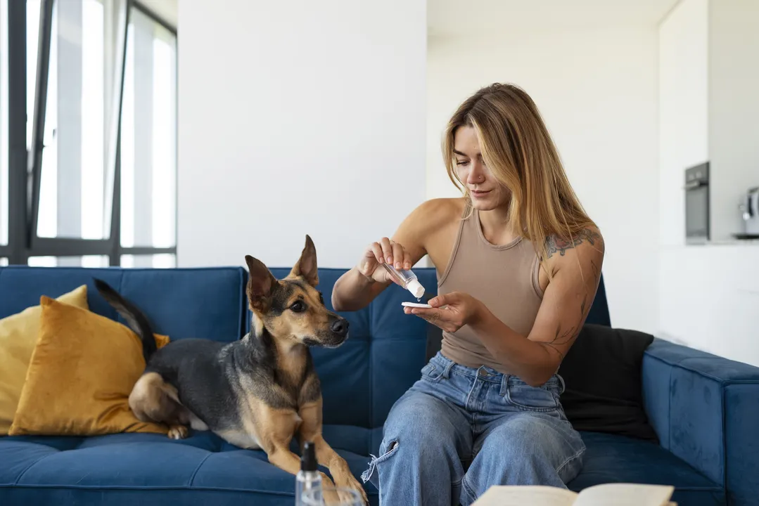 Desafio está em manter a casa limpa sem comprometer a saúde dos pets