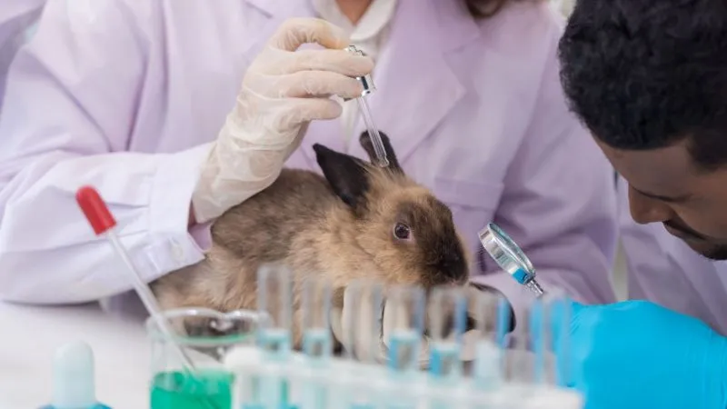 Veja opções de beleza cruelty-free, vegana e ética para cuidar da sua pele com consciência