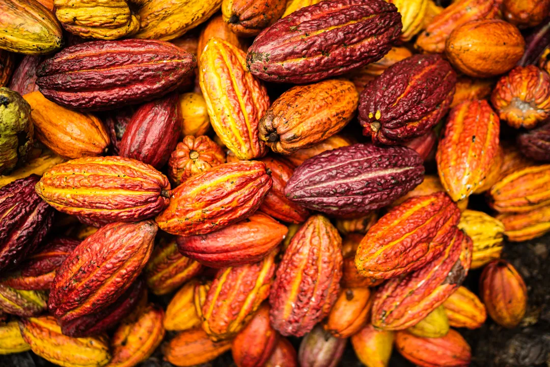 O acordo é fruto de um ano de negociações