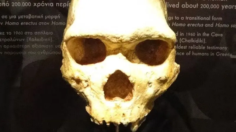 Acredita-se que esse Homo heidelbergensis viveu na Europa durante o Pleistoceno