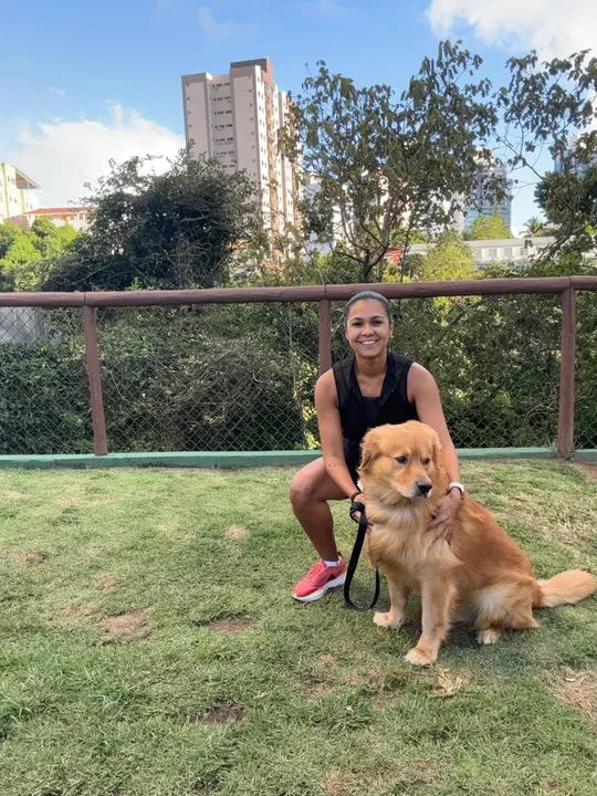 Apolo é um Golden Retriver