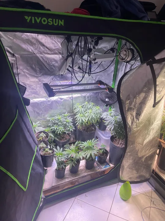 Suspeito foi autuado em flagrante por tráfico de drogas