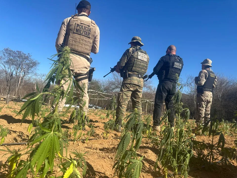 Além da droga, as equipes também apreenderam um veículo