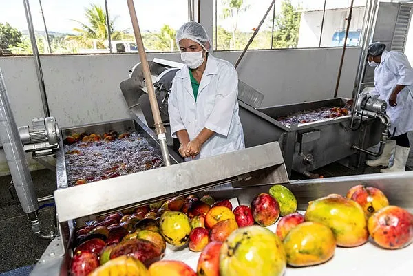 Agroindústria familiar agrega valor à produção