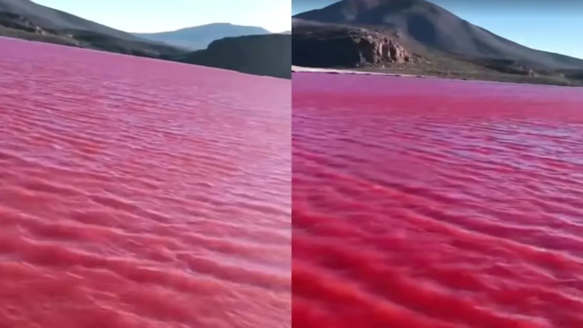 Mar da Galileia surgiu vermelho