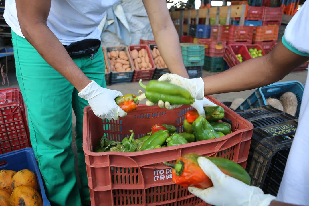 Brasil sai do 'Mapa da Fome'