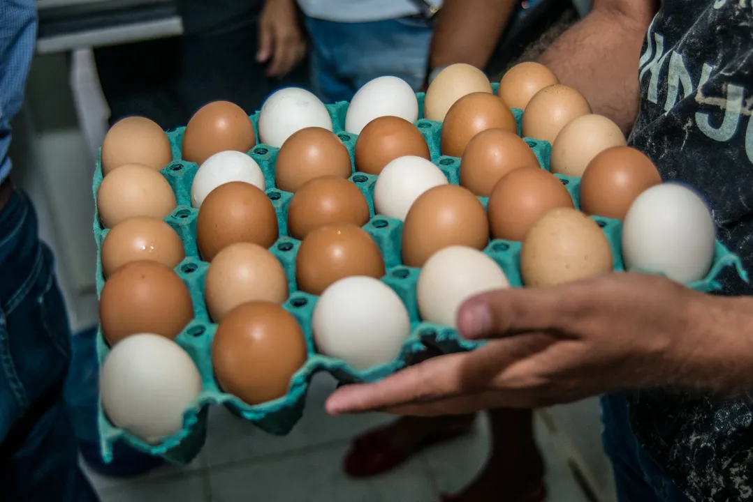 Ovos de cozinha