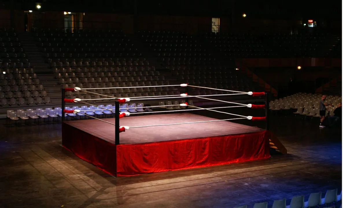 Ringue de wrestling profissional