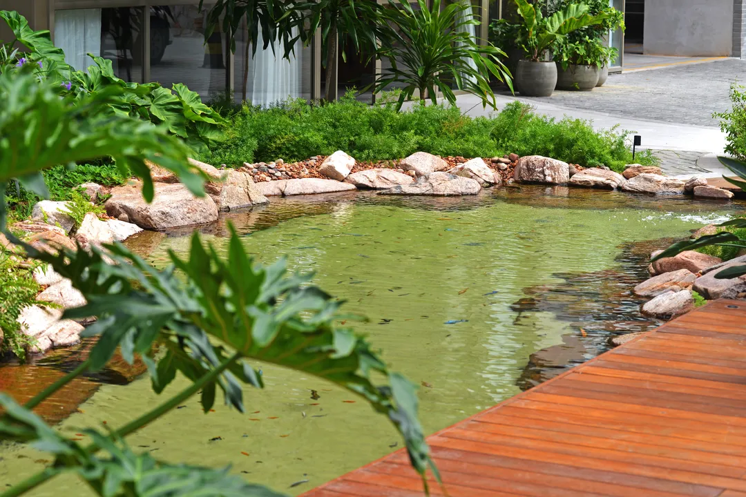 Condomínio Cedro Horto: reaproveitamento de água pluvial garante acesso ao IPTU Verde