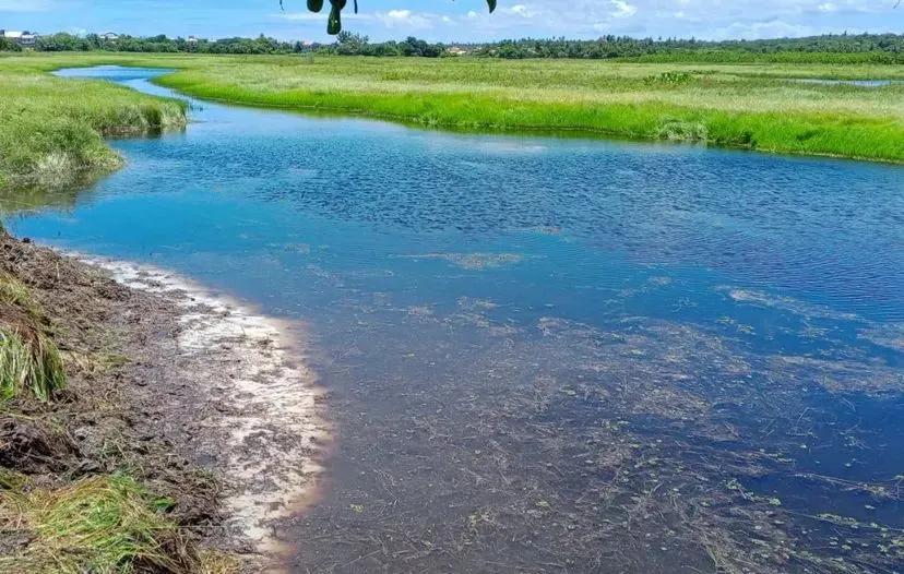 Rio Capivara