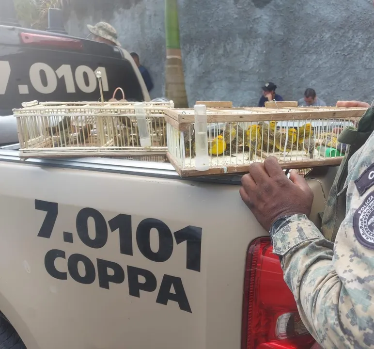 Fiscalização aconteceu durante uma ação na feira popular da cidade,