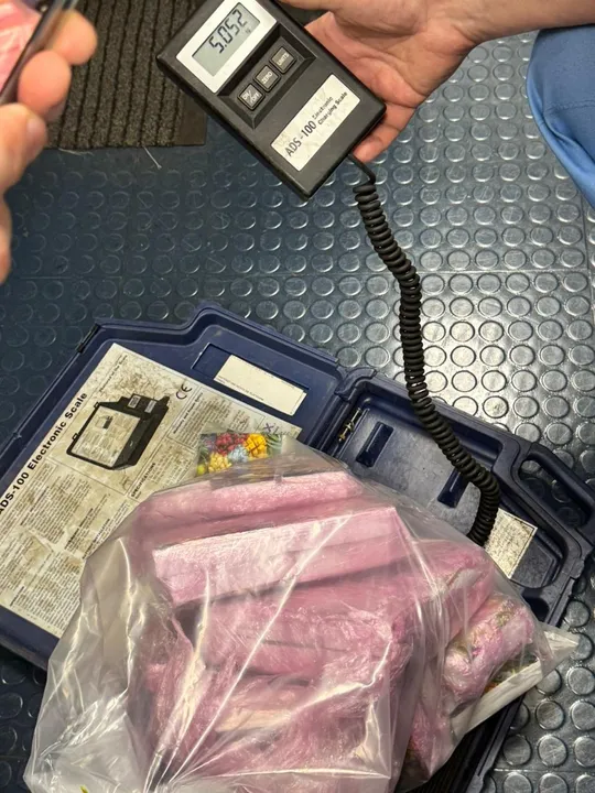 Imagem ilustrativa da imagem Mais de 8kg de haxixe são apreendidos em operação no Porto de Salvador
