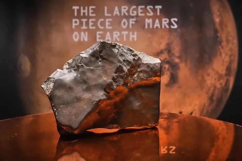 Meteorito já foi exibido em instituições científicas, como a Agência Espacial Italiana