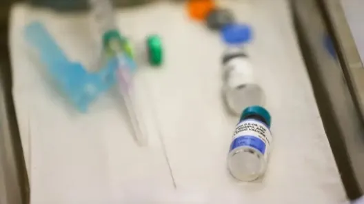 Os casos foram confirmados após exames em laboratório estadual e confirmação pela Fundação Oswaldo Cruz.