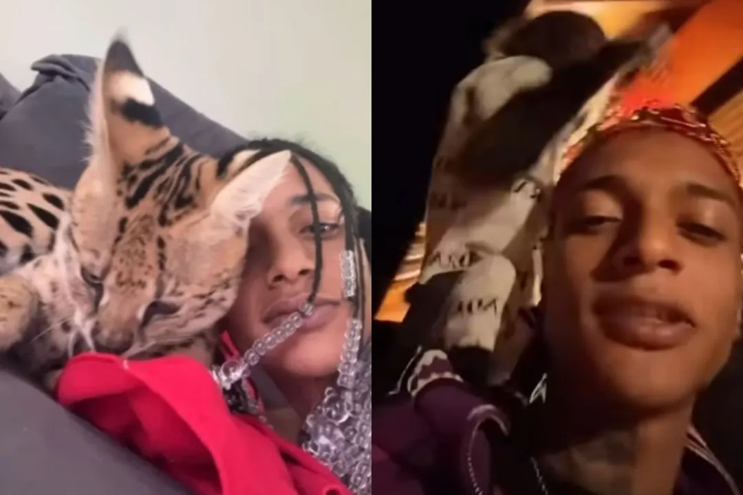 Oruam e os seus animais