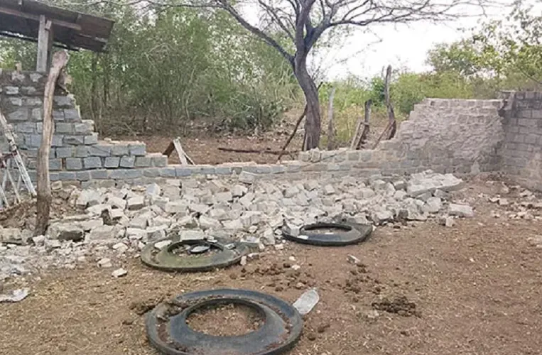 Curral é utilizado pela prefeitura para abrigar temporariamente animais de grande porte retirados das ruas