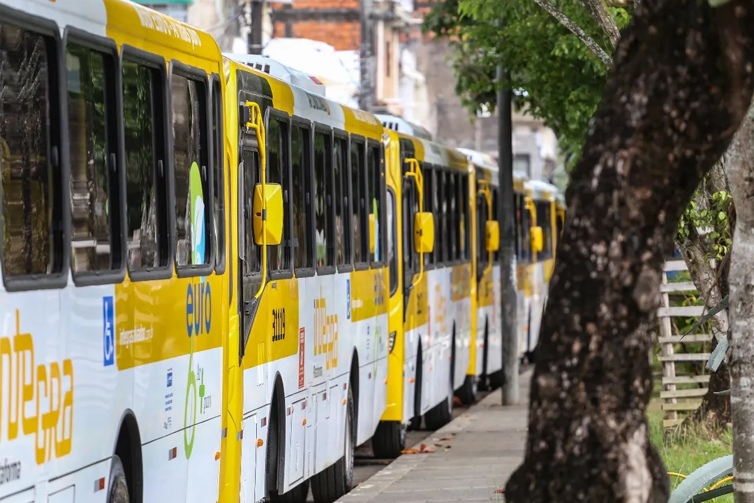 Ônibus que atendem a capital baiana (ilustração)