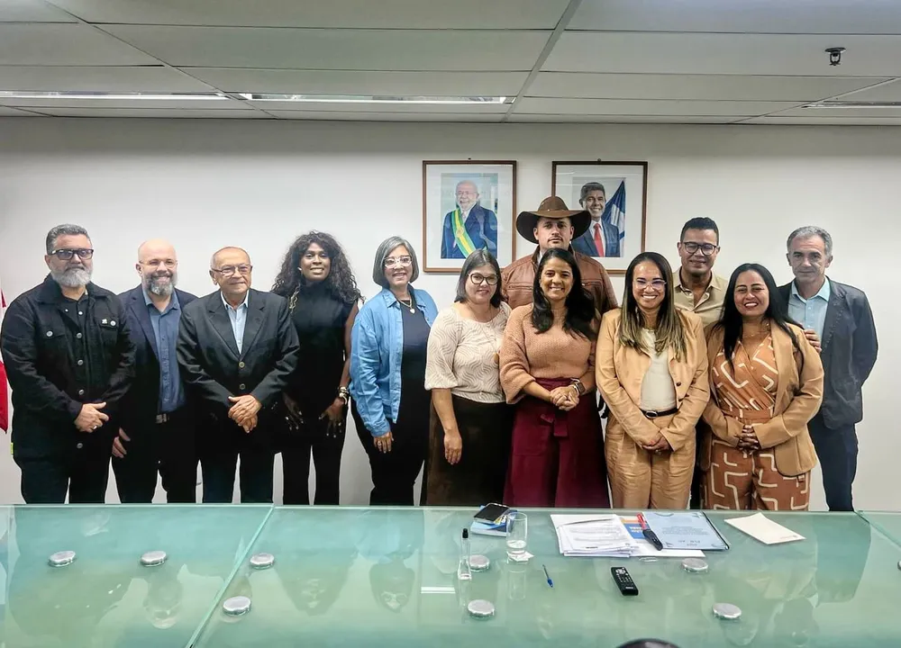 Prefeitos do PDT se reuniram com Rowenna Brito