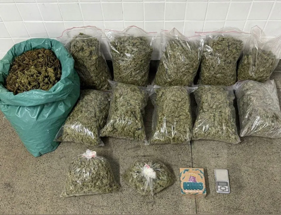 Imagem ilustrativa da imagem Mais de 30 quilos de maconha são apreendidos em Feira de Santana