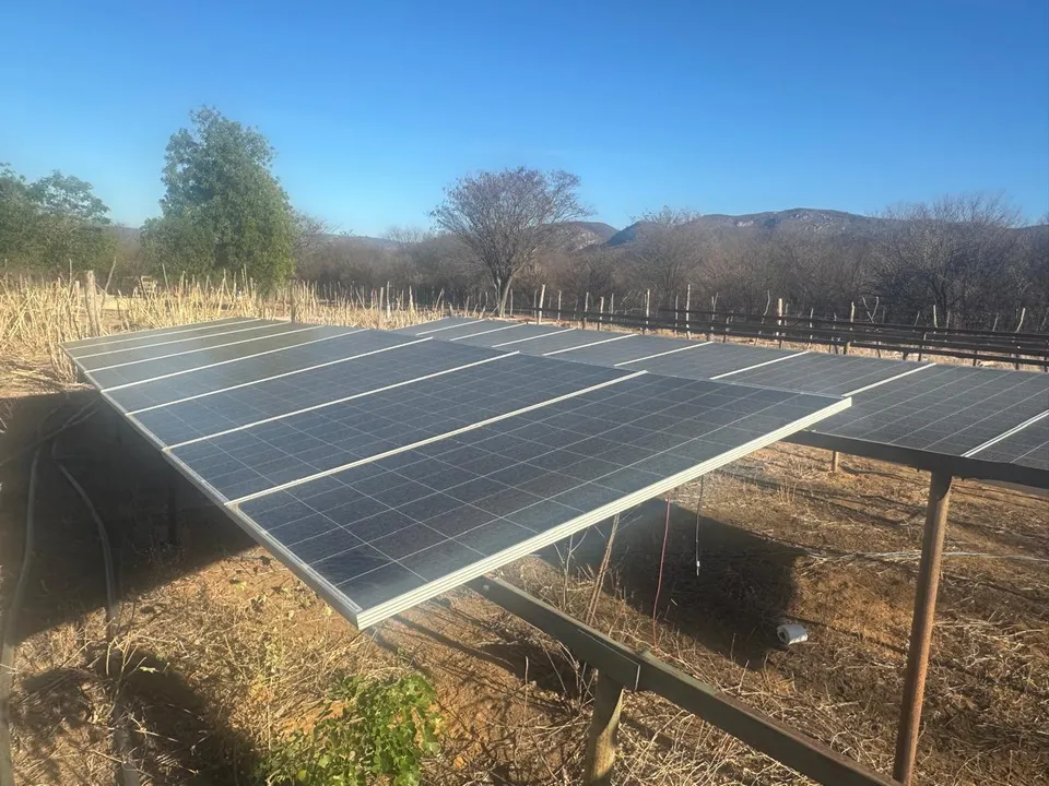Roça de maconha que contava com suporte de energia solar