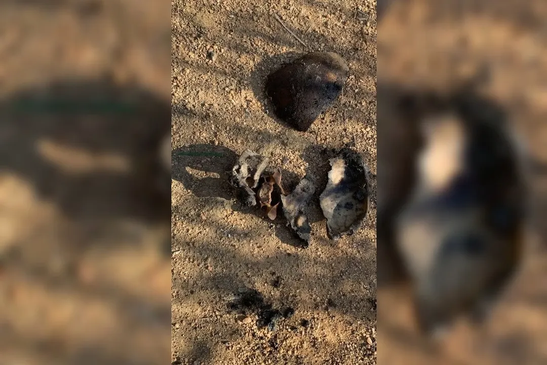 Polícia segue investigando a identidade das vítimas