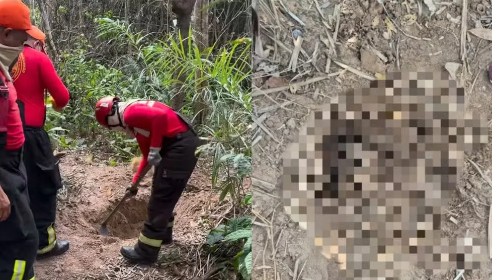 Corpos estavam enterrados em área de mata