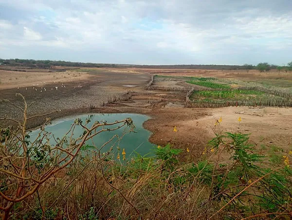 Barragem da comunidade dos Negros, zona rural de Remanso em período de estiagem (ilustração)