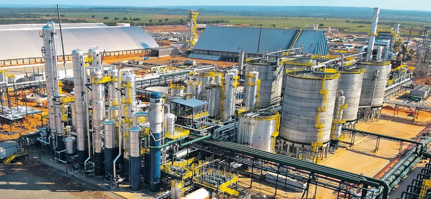 Imagem ilustrativa da imagem Produção de sorgo cresce 39% na Bahia e ganha espaço no setor de biocombustíveis