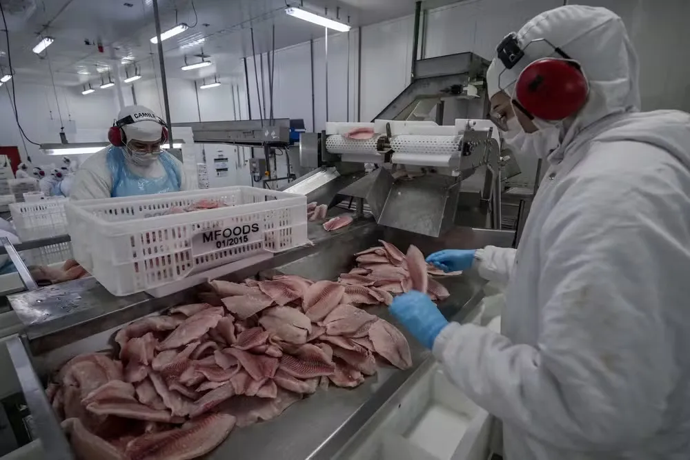 Setor de pescados foi afetado por tarifaço