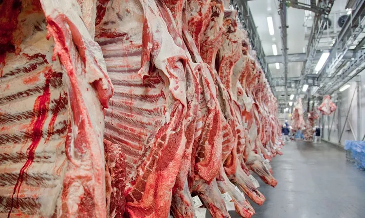 Desde 2020, os consumidores americanos vêm pagando mais pela carne