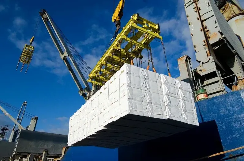 Papel e celulose foram os produtos com maiores participação nas exportações do EUA