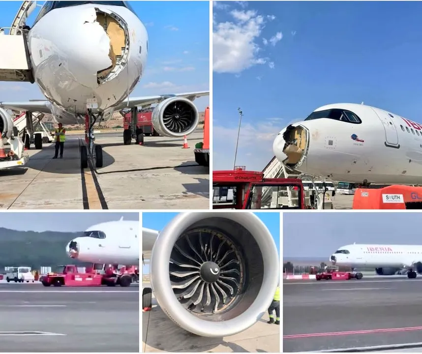 Impacto causou sérios danos ao bico do avião