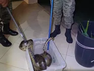 Kakay chegou a ser socorrida mas não resistiu