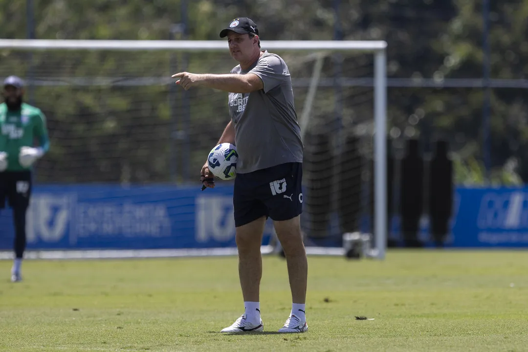 Confira a situação do Bahia para o jogo contra o Cruzeiro: o time de Rogério Ceni terá que lidar com sete desfalques, mas comemora a volta de Santiago Arias e Luiz Gustavo para a partida decisiva.