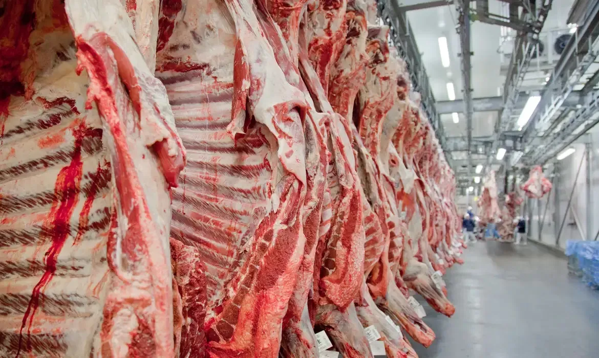 Entre janeiro e agosto, o Brasil exportou 2 milhões de toneladas de carne bovina