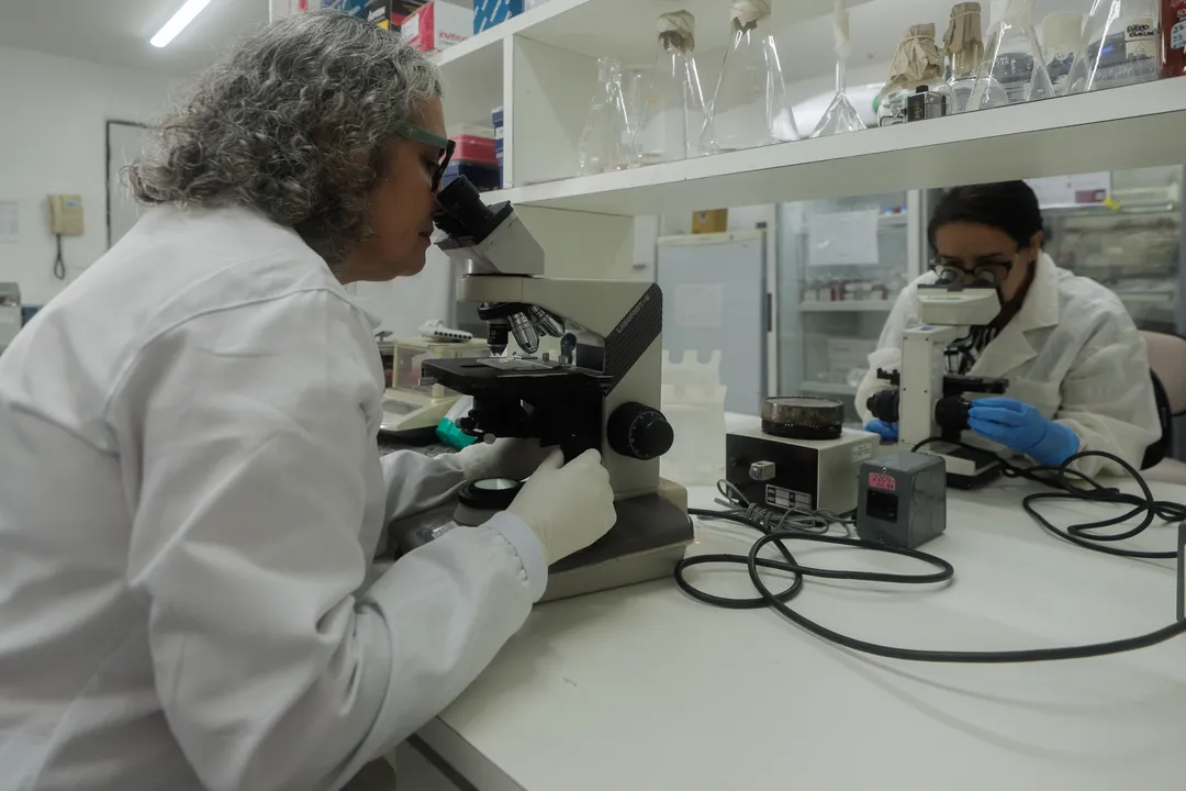 O HTLV é transmitido através de relações sexuais desprotegidas, compartilhamento de agulhas e seringas, e de mãe para o filho