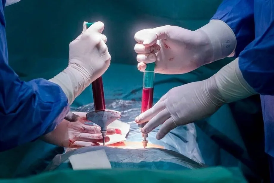 Imagem ilustrativa da imagem Medicamento brasileiro inédito pode reverter lesão na medula, dizem cientistas