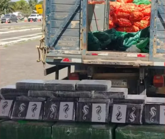 Foram encontrados 501 tabletes de cocaína de 1kg cada