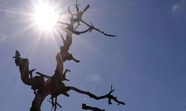 Esta será a sexta onda de calor registrada somente em 2025