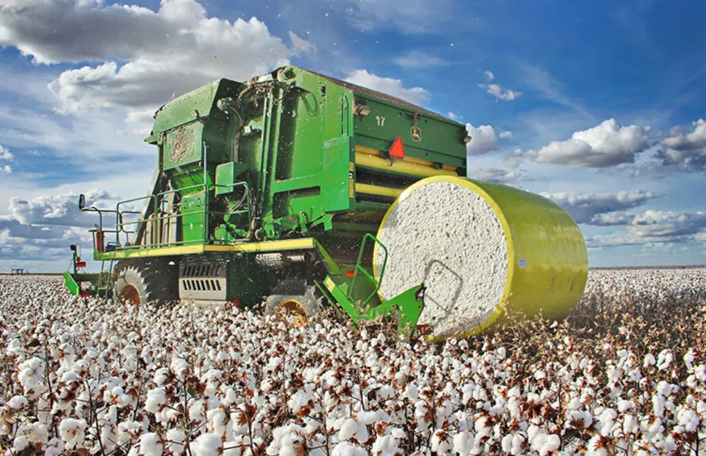 Imagem ilustrativa da imagem O ouro branco do oeste baiano e a tecnologia que o salva