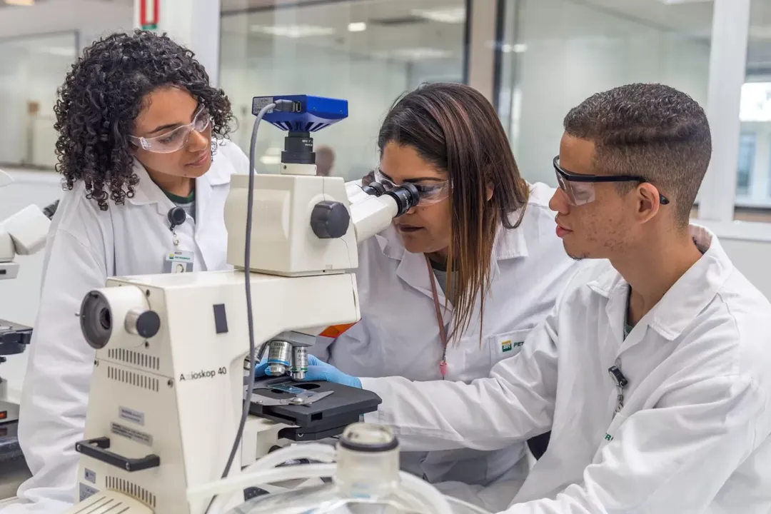 As inscrições são gratuitas e podem ser realizadas entre 6 e 12 de outubro